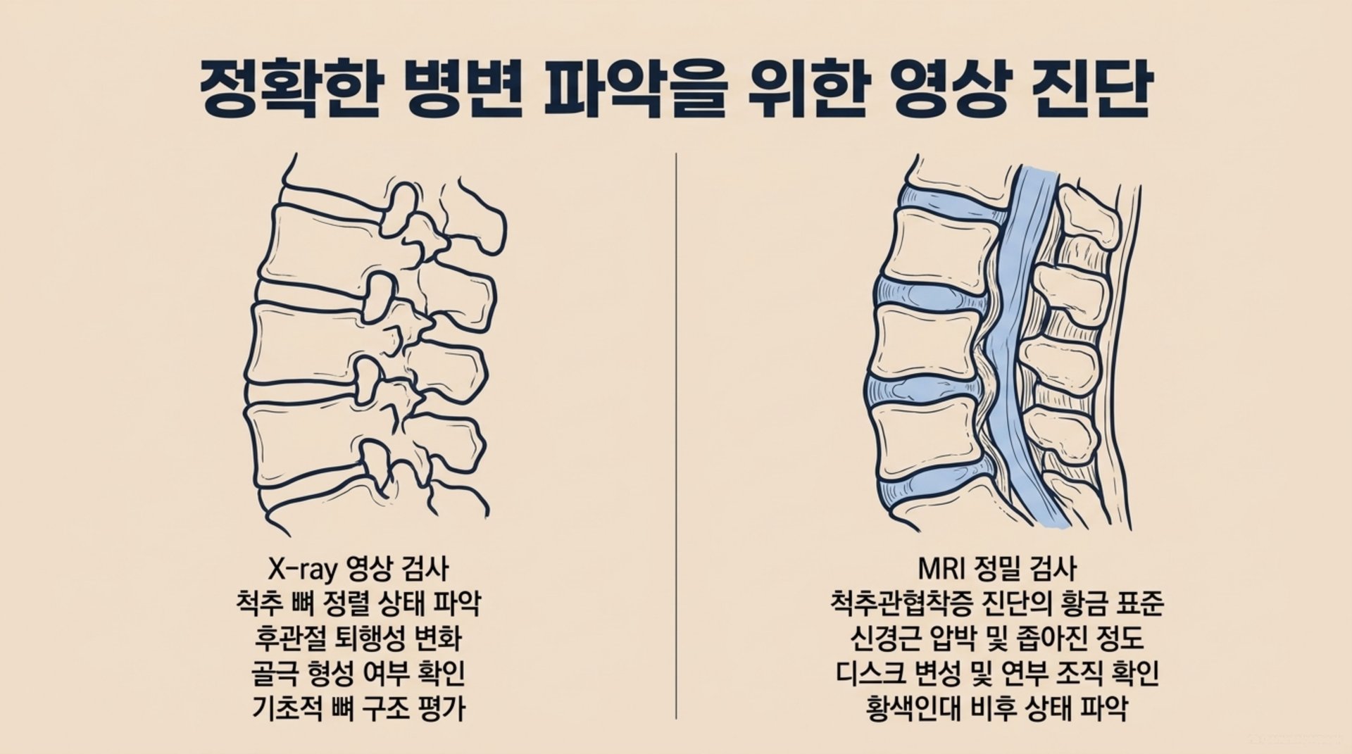남가좌동 한의원 정확한 병변 파악을 위한 영상 진단 안내 이미지