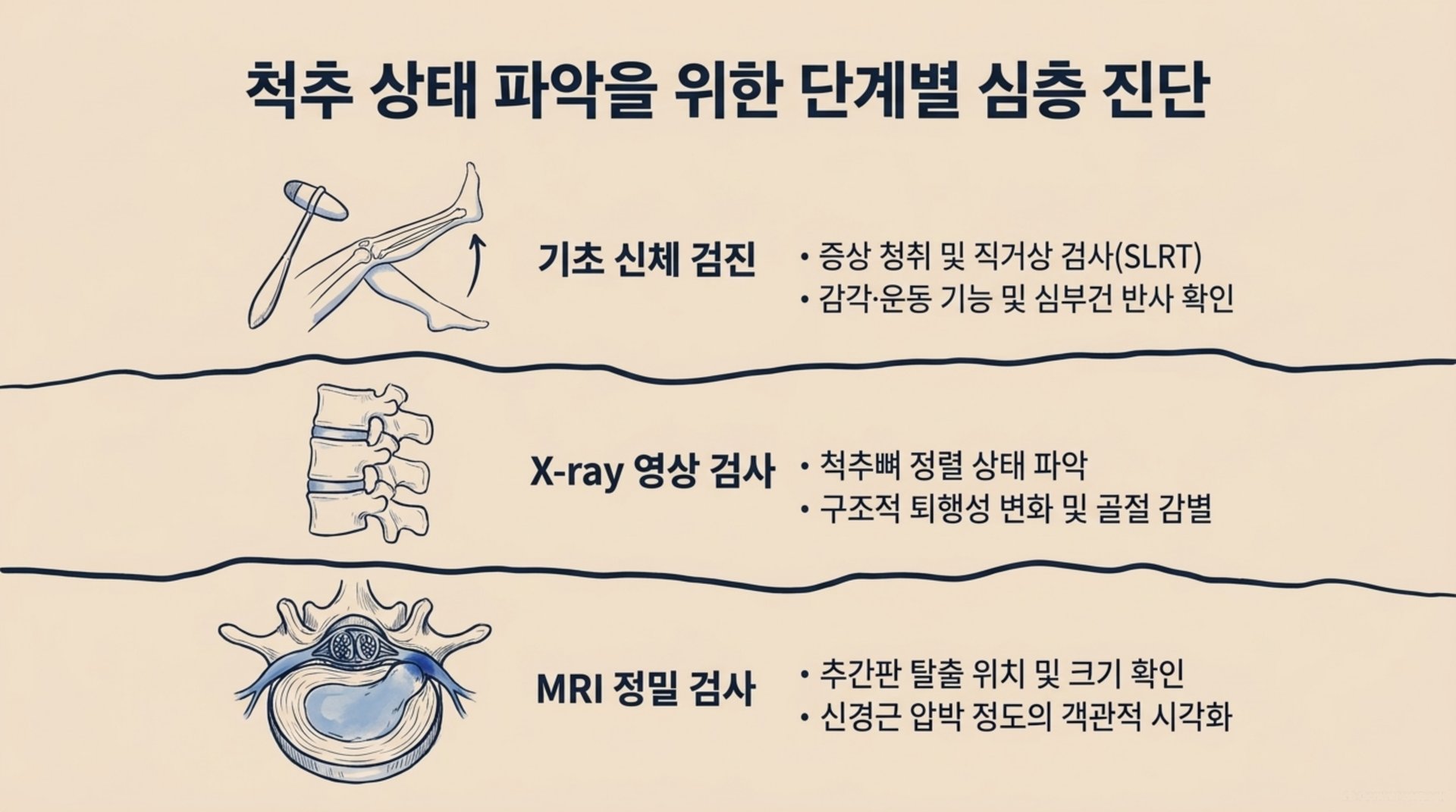 남가좌동 한의원 척추 상태 파악을 위한 단계별 심층 진단 안내 이미지