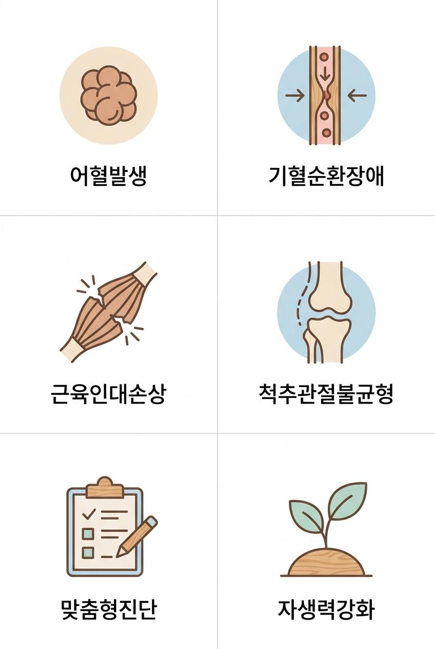 교통사고 후유증의 한의학적 원인과 치료 접근법, 북가좌동교통사고후유증한의원 | 어혈발생 · 기혈순환장애 · 근육인대손상 · 척추관절불균형 · 맞춤형진단 · 자생력강화
