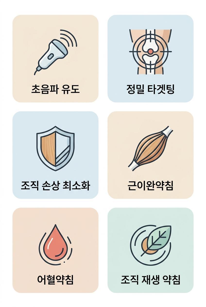 초음파 유도 약침 요법의 정밀함과 종류, 남가좌동통증관리한의원 | 초음파 유도 · 정밀 타겟팅 · 조직 손상 최소화 · 근이완약침 · 어혈약침 · 조직 재생 약침