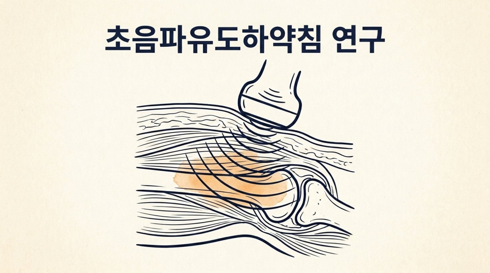 남가좌동 한의원 초음파유도하약침 연구 안내 이미지