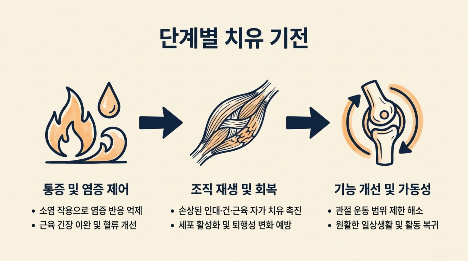 서대문구 한의원 (단계별 치유 기전) 안내 이미지
